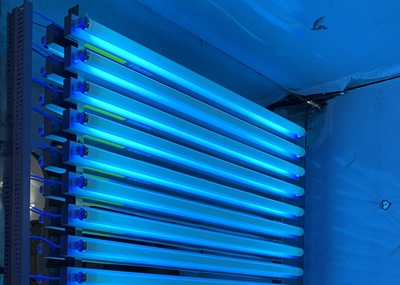 如何通過UV紫外光照實驗箱構建動物皮膚光老化模型？