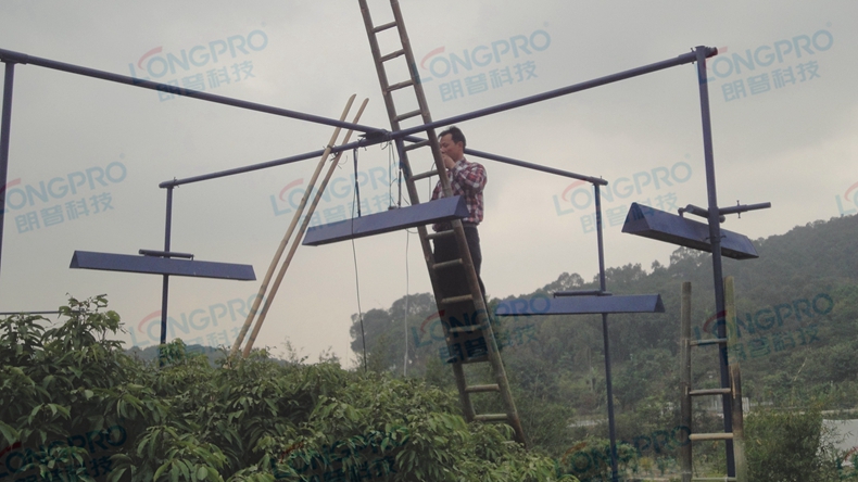 東莞植物園 (20)_副本.jpg 東莞植物園 (20)_副本.jpg